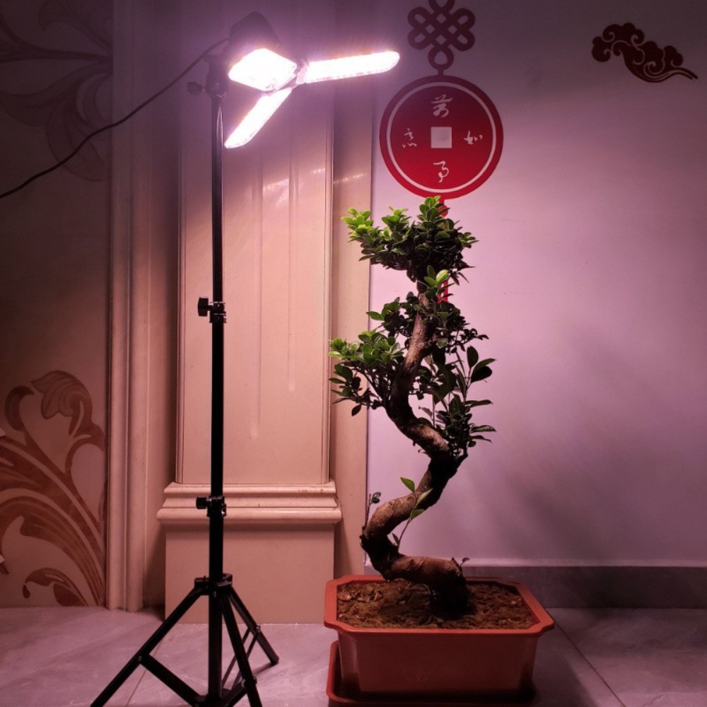 Portalampada 2M, attacco CA E2 - Photography Lighting Studio recensione e prezzo