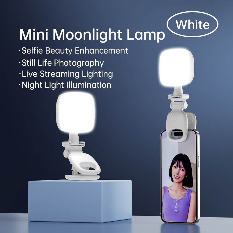 Lampada portatile per selfie a - Quality Photography Lighting recensione e prezzo