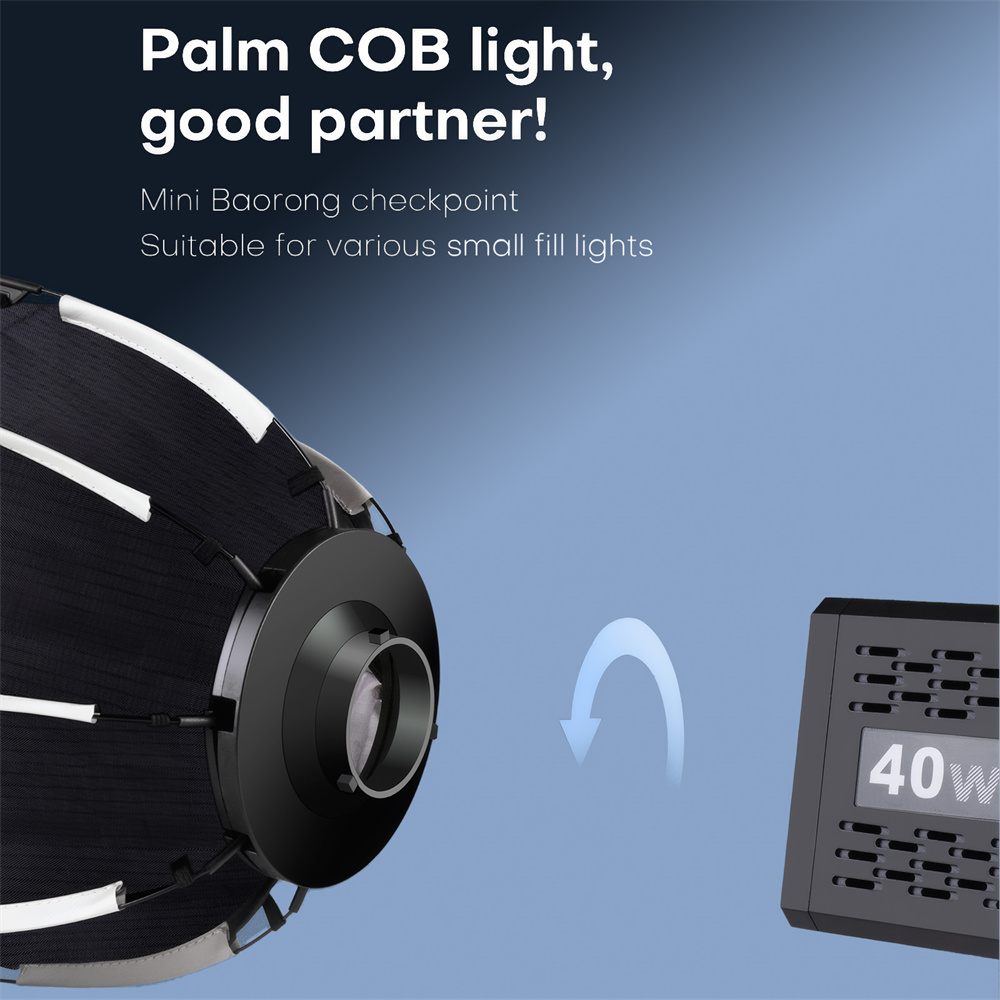 Softbox Mini con Attacco Bowen - Photography Lighting Modifiers recensione e prezzo