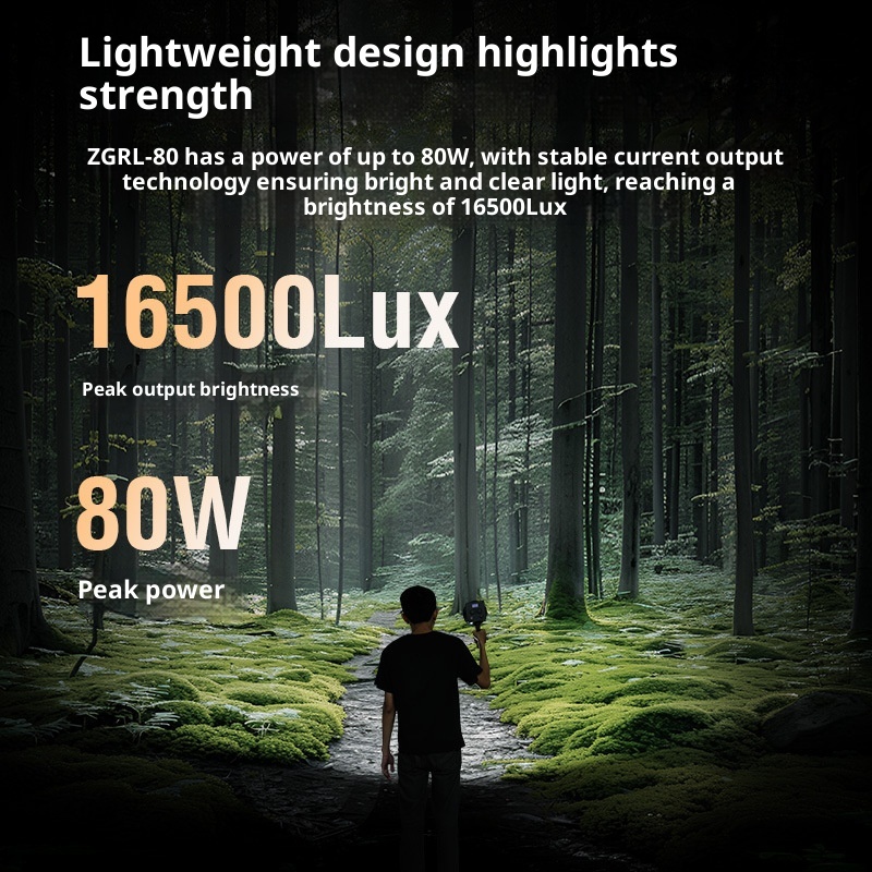 ZGRL80 80W COB LED Video Light - Photography Lighting Outdoor recensione e prezzo